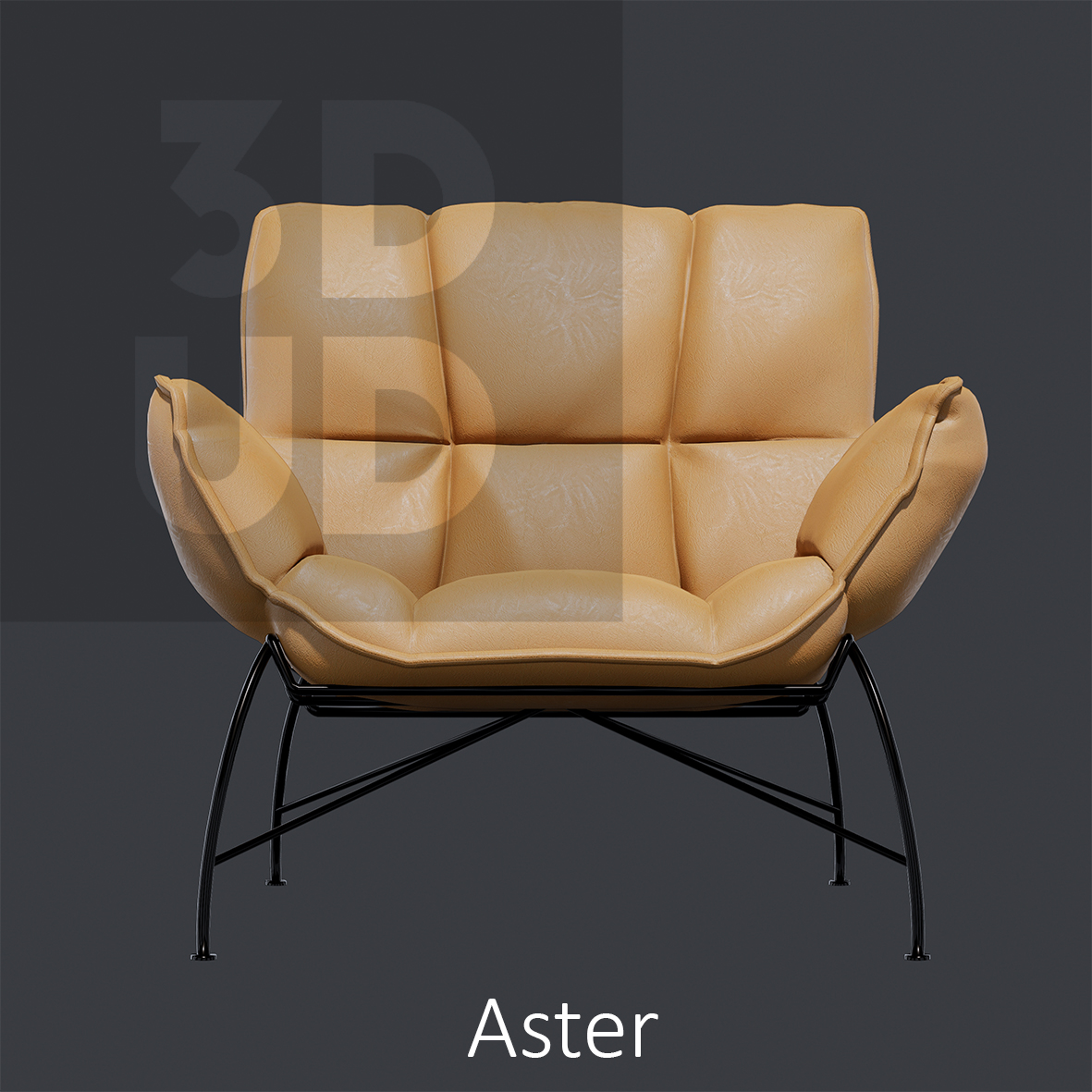 Aster