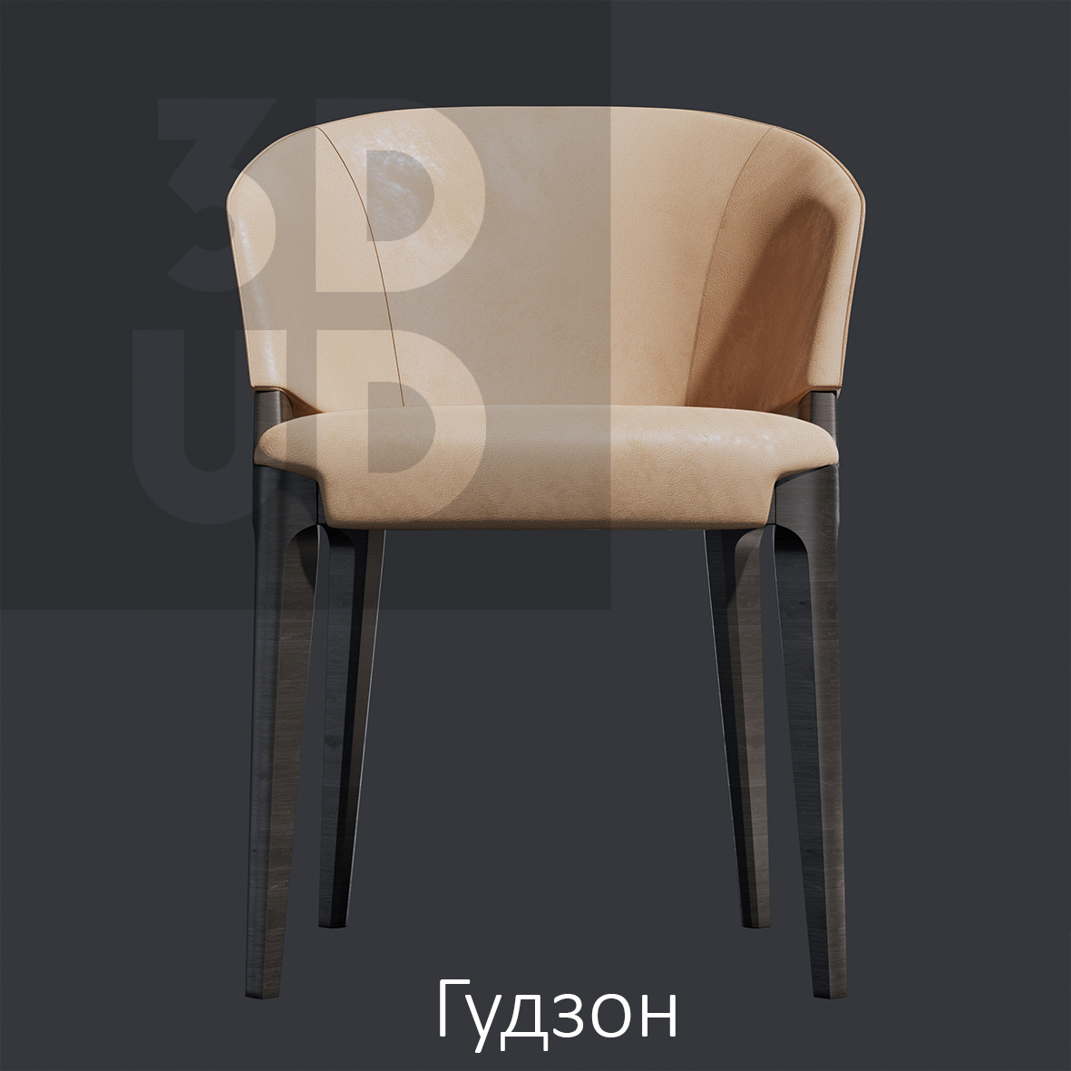 Гудзон