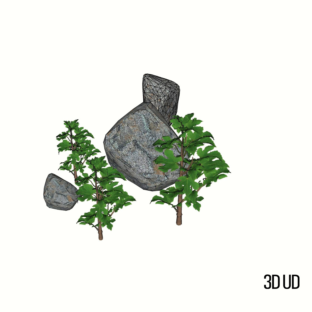 Уличные растения