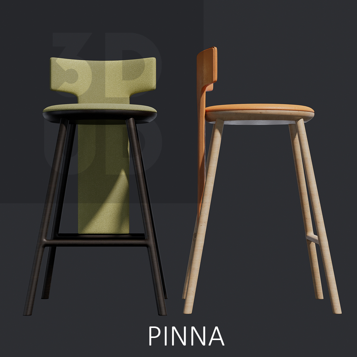 PINNA