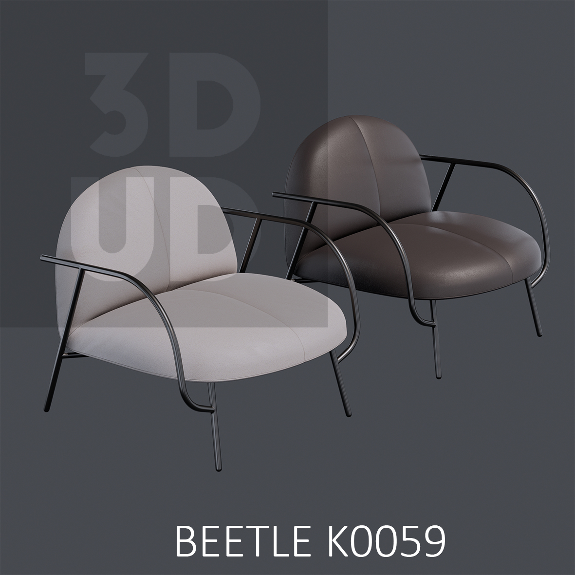 BEETLE K0059
