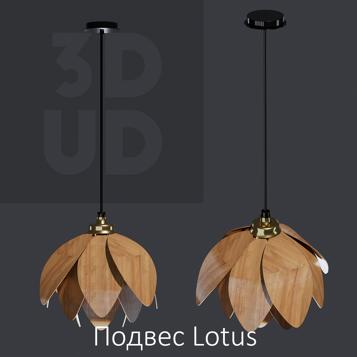 Lotus